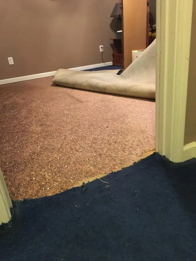 Carpet pad removal revealing water damage during Water Mitigation Services in Taft
