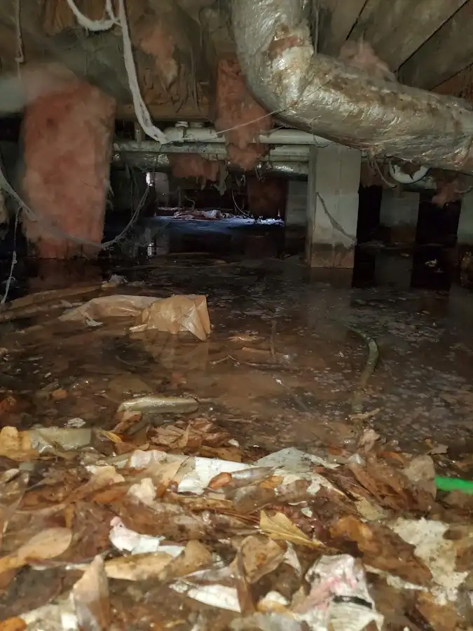 Crawl space flood assessment for Leak Detection & Repair in Taft