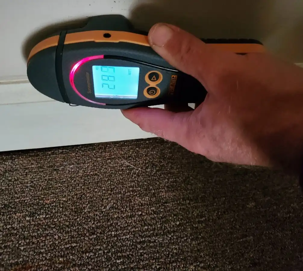 Moisture detection at baseboard during Burst Pipe Cleanup in Taft